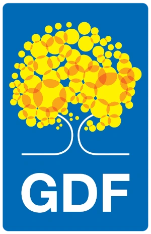 Governo do Distrito Federal